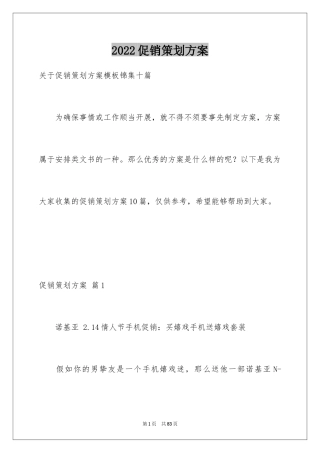 2024促销策划方案_30