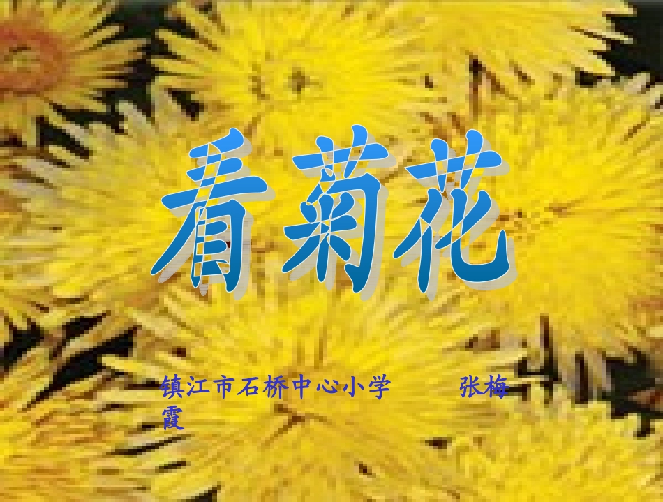 看菊花张梅霞_第1页
