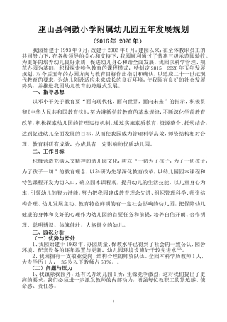中心幼儿园五年发展规划