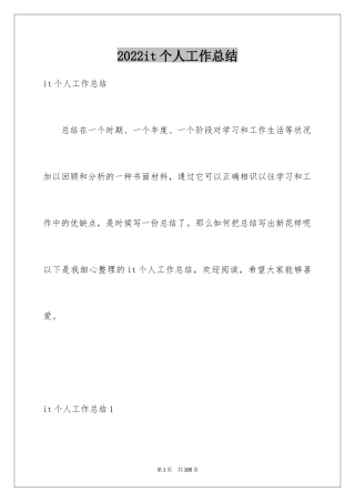 2024it个人工作总结