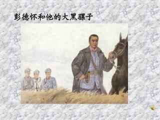 彭德怀和他的大黑骡子