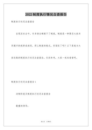 2024制度执行情况自查报告