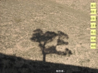 阳光下的影子