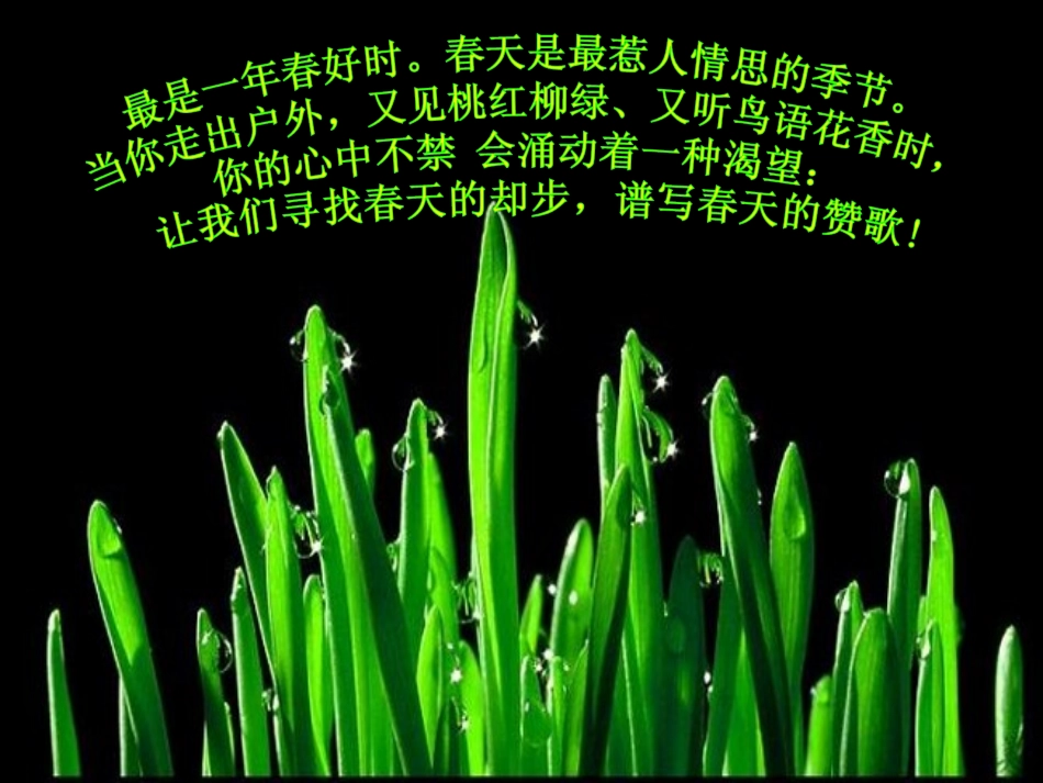 《寻觅春天的踪迹》wode11_第2页