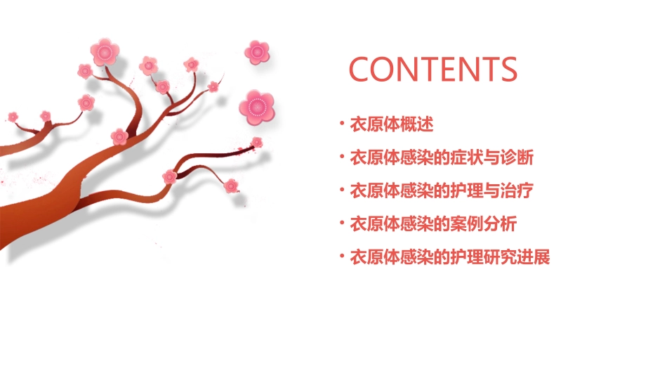 人卫版衣原体教学护理课件_第2页