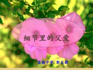 细节里的父爱