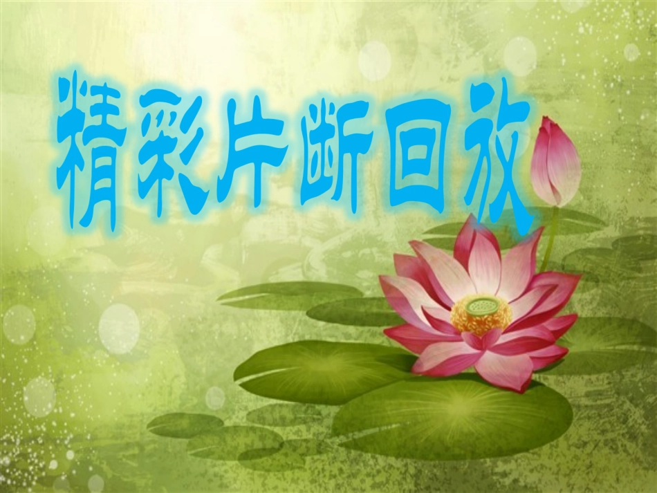 书香伴我成长_第3页