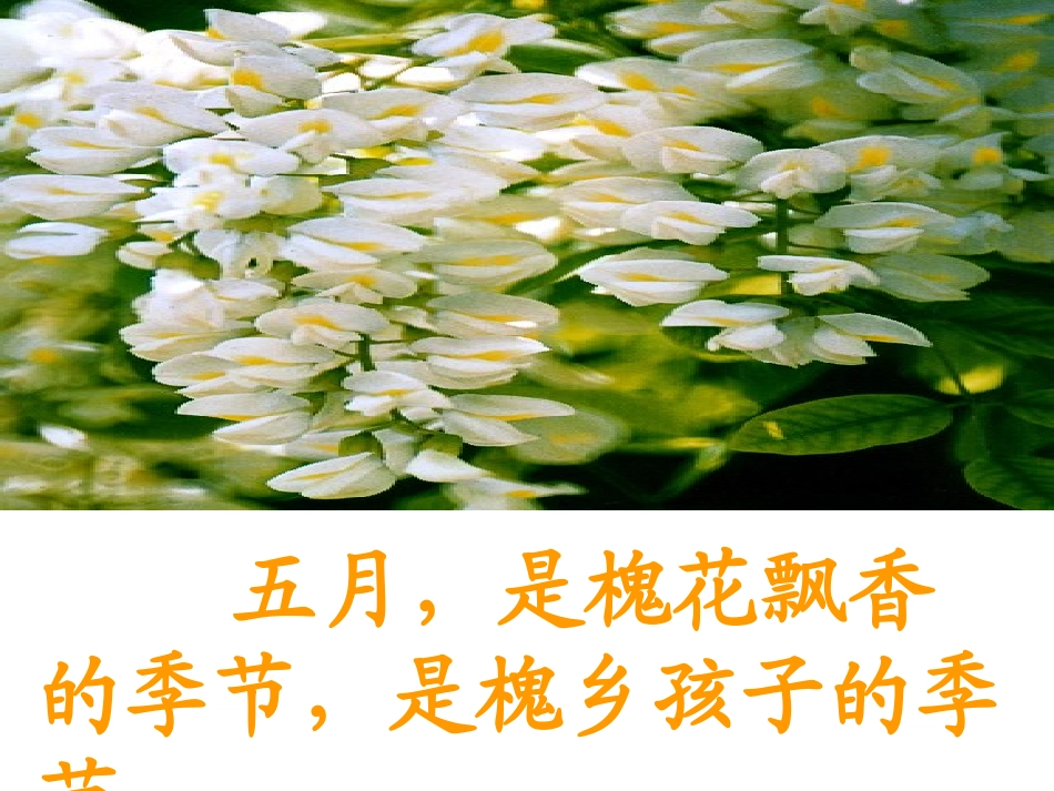 槐乡五月 (2)_第2页