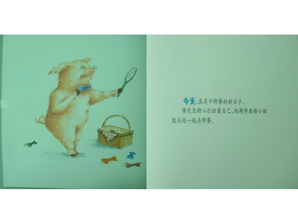 猪先生去野餐_第3页