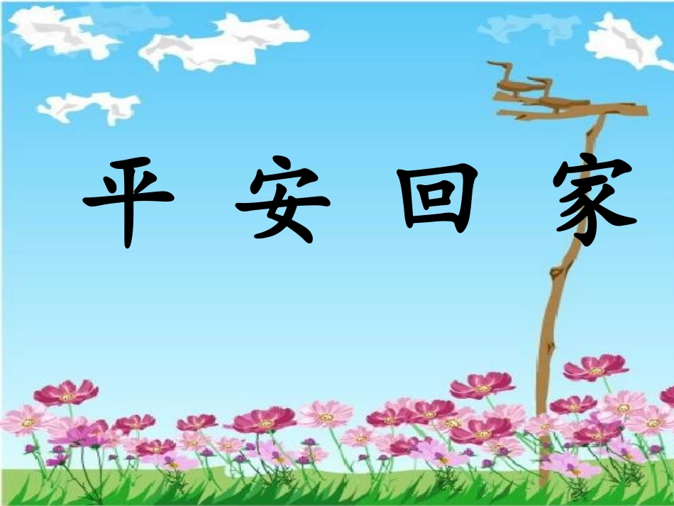 平安回家+品社_第1页