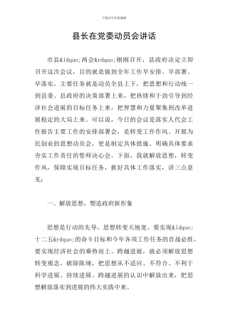县长在党委动员会讲话