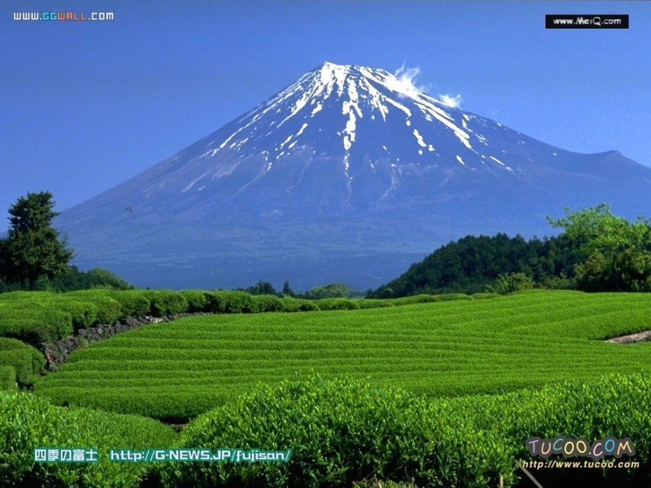 日本演示文稿_第3页