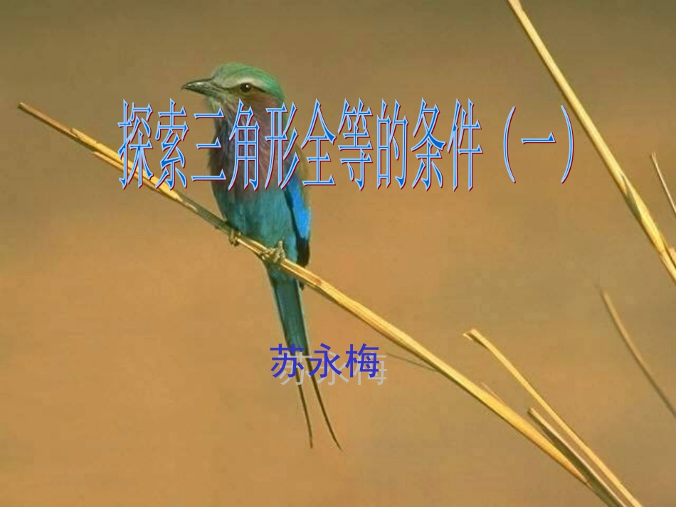 三角形全等说课稿苏永梅_第1页