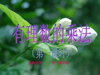 有理数的乘法1(1)