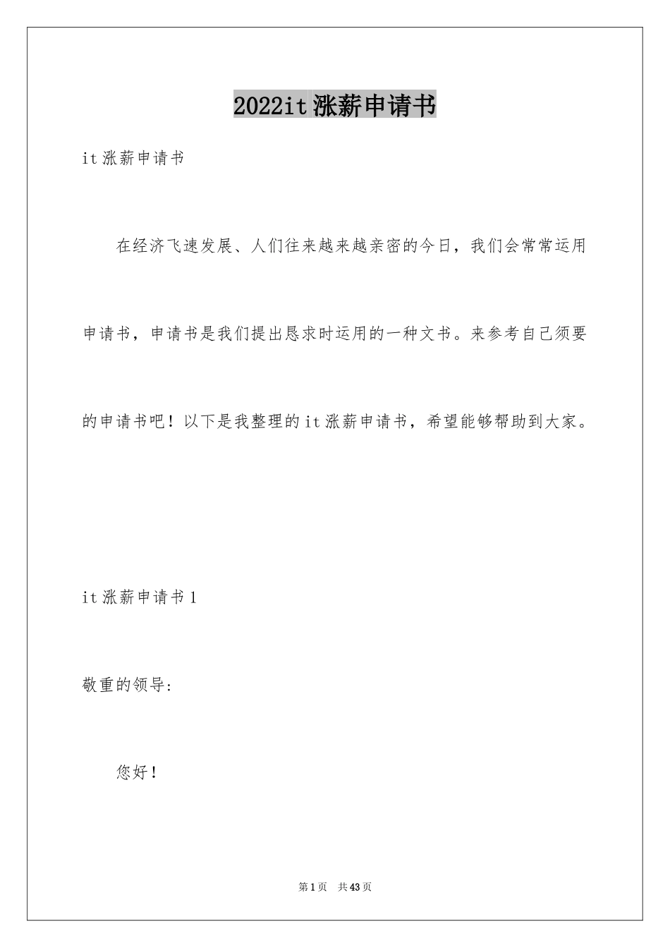 2024it涨薪申请书_第1页