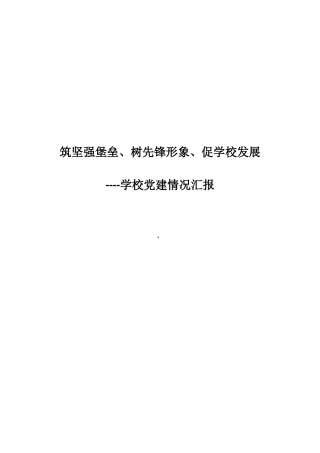 学校党建情况汇报材料
