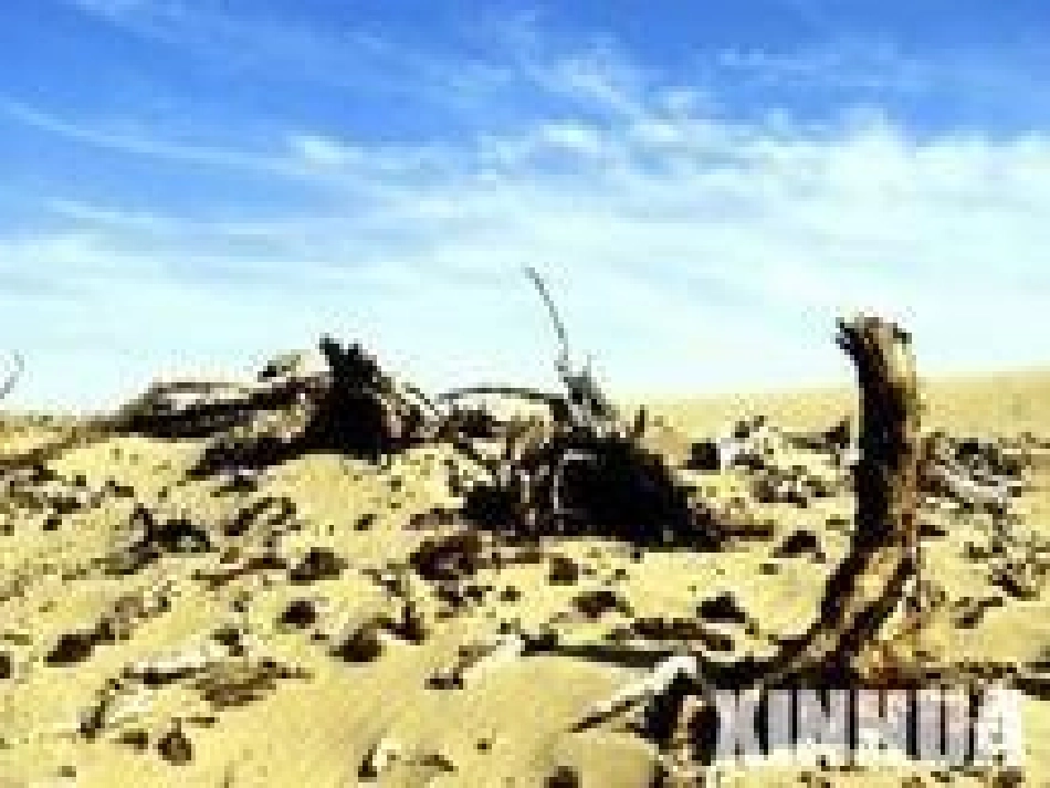 青山不老(已修改)_第2页