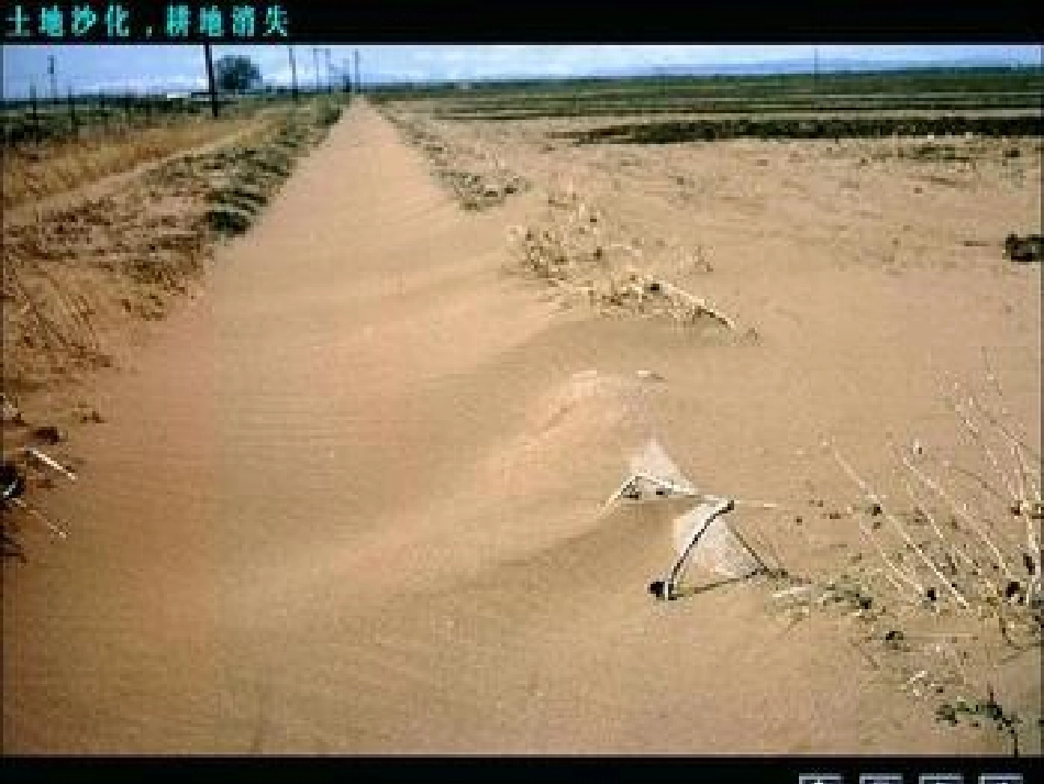 青山不老(已修改)_第3页