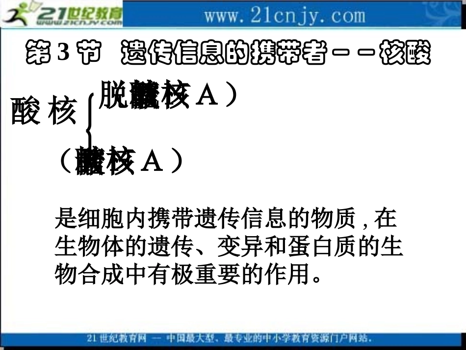生物：23《遗传信息的携带者——核酸》课件（3）（新人教版必修1）_第1页