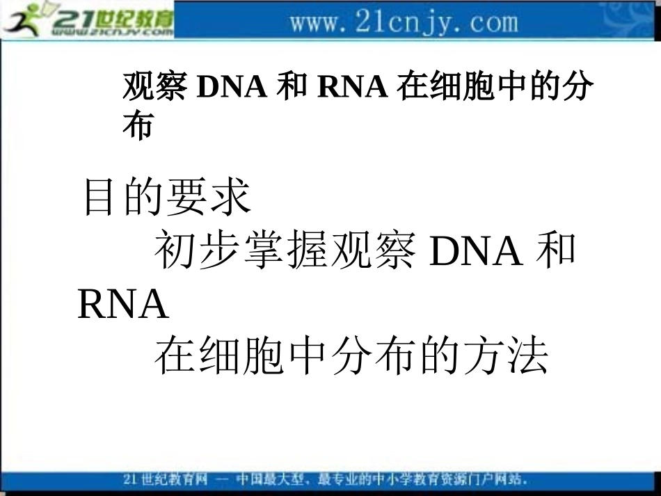 生物：23《遗传信息的携带者——核酸》课件（3）（新人教版必修1）_第3页