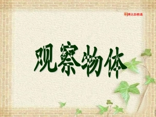 《观察物体》课件(3)