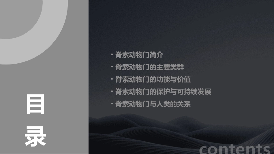 脊索动物门通用课件_第2页