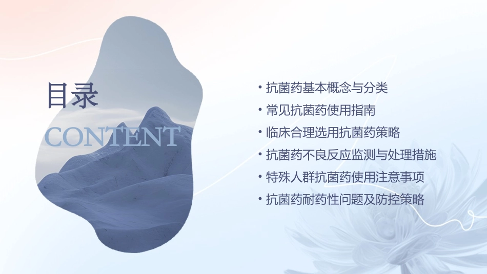 抗菌药分类及用药注意事项_第2页