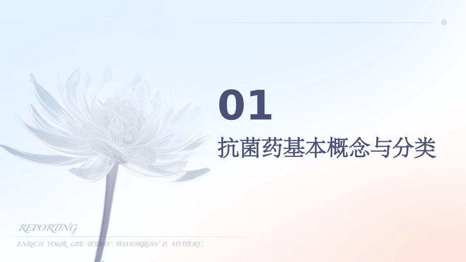 抗菌药分类及用药注意事项_第3页