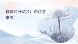 抗菌药分类及用药注意事项