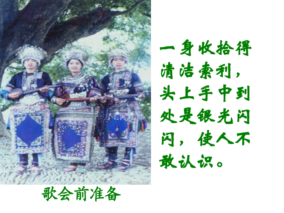 云南的歌会第一课时_第3页