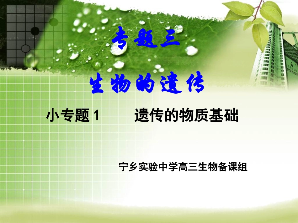 遗传的物质基础_第1页