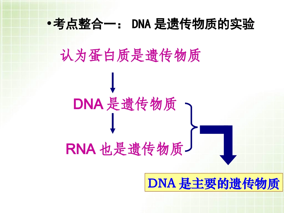 遗传的物质基础_第3页