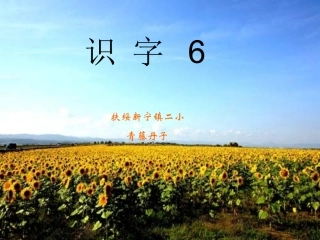 二年级语文上册识字六课件[1]