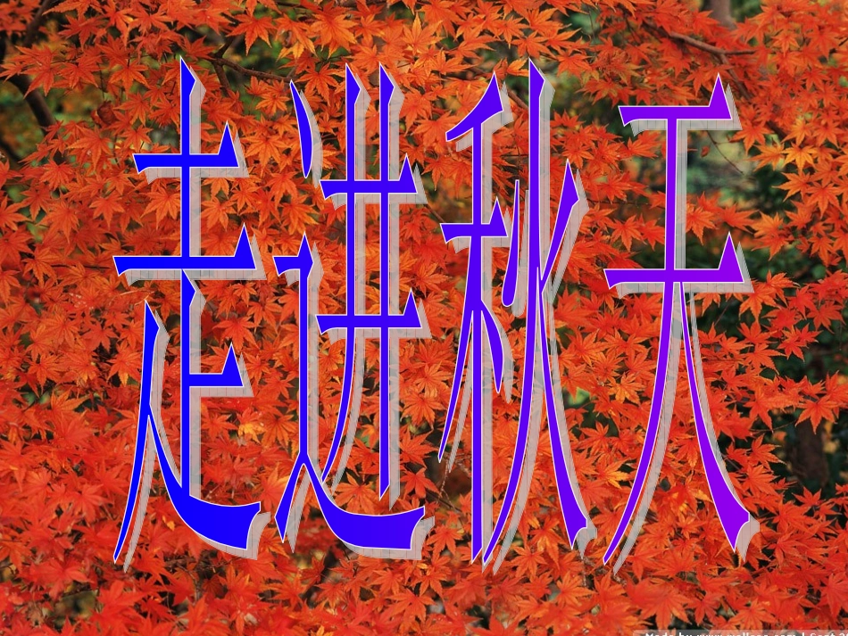 校园-----《走进秋天》_第1页