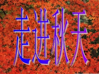校园-----《走进秋天》