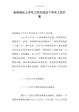 县供销社上半年工作总结及下半年工作打算