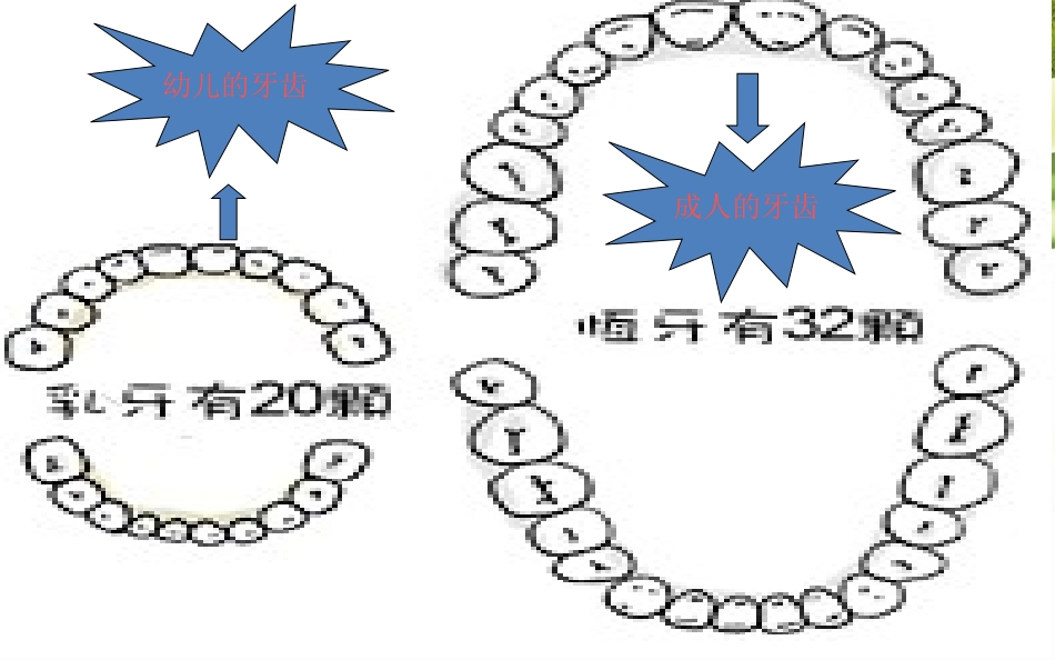 怎样保护好牙齿_第3页