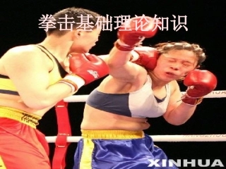 拳击基础理论知识