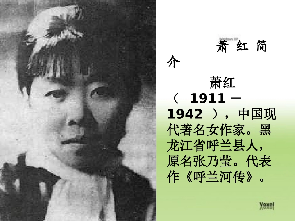 我和祖父的花园用这个讲课_第2页