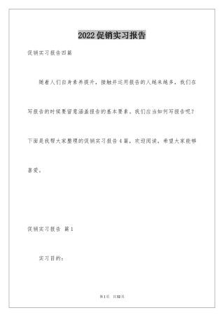 2024促销实习报告_4