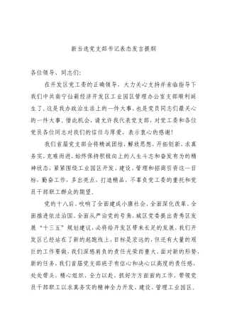 新当选支部书记表态发言提纲