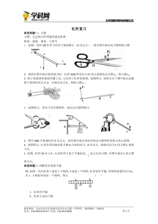 杠杆复习题型很全面