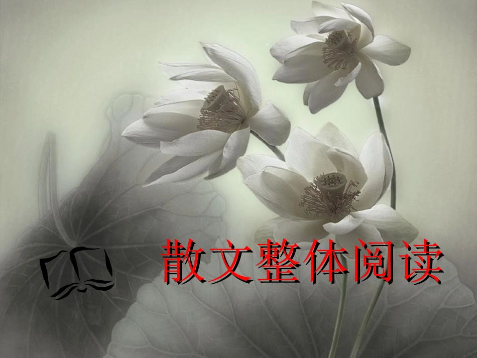 整体阅读——木格花窗_第1页
