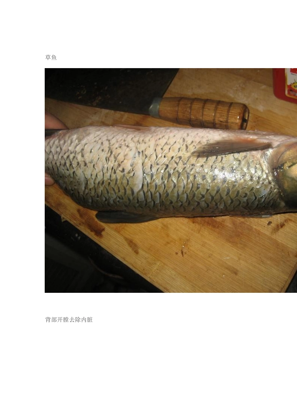 原创自制重庆烤鱼_第2页