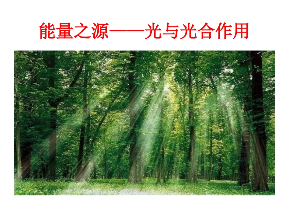 生物学必修(1)《能量之源——光与光合作用》（第一课时）_第1页