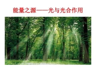 生物学必修(1)《能量之源——光与光合作用》（第一课时）