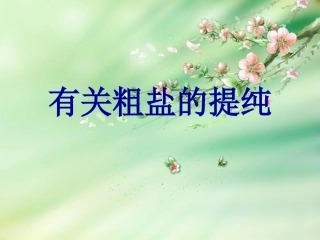 有关粗盐的提纯