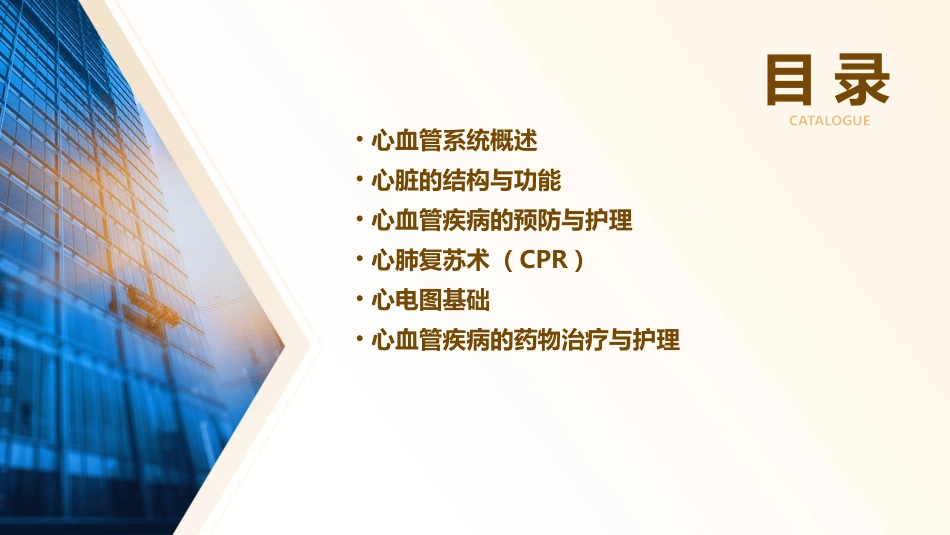 人体解剖学 心血管系统心护理课件_第2页