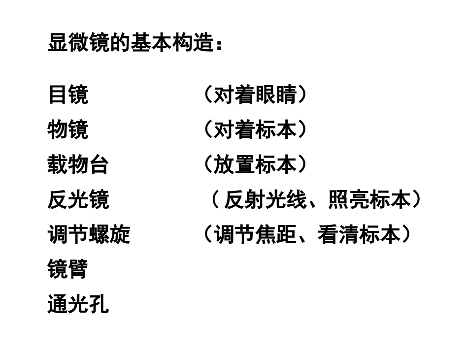 水滴里的生物_第3页