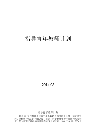 指导青年教师计划